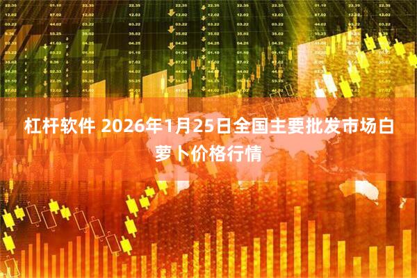 杠杆软件 2026年1月25日全国主要批发市场白萝卜价格行情